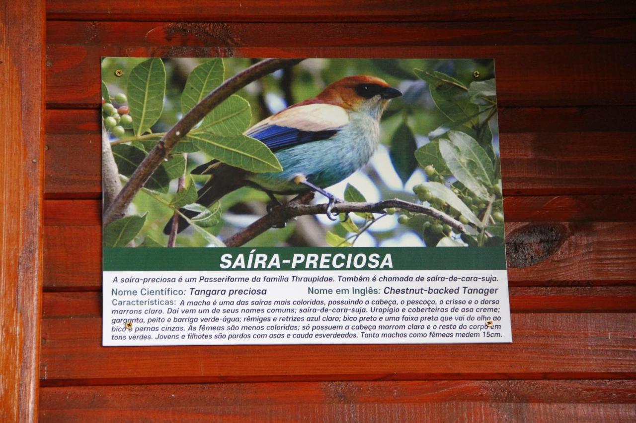 Recanto Da Mata Pousada São Francisco de Paula 外观 照片