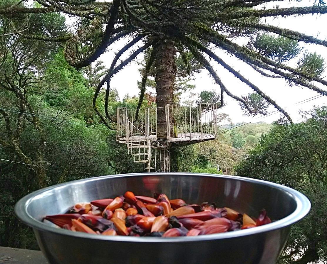Recanto Da Mata Pousada São Francisco de Paula 外观 照片