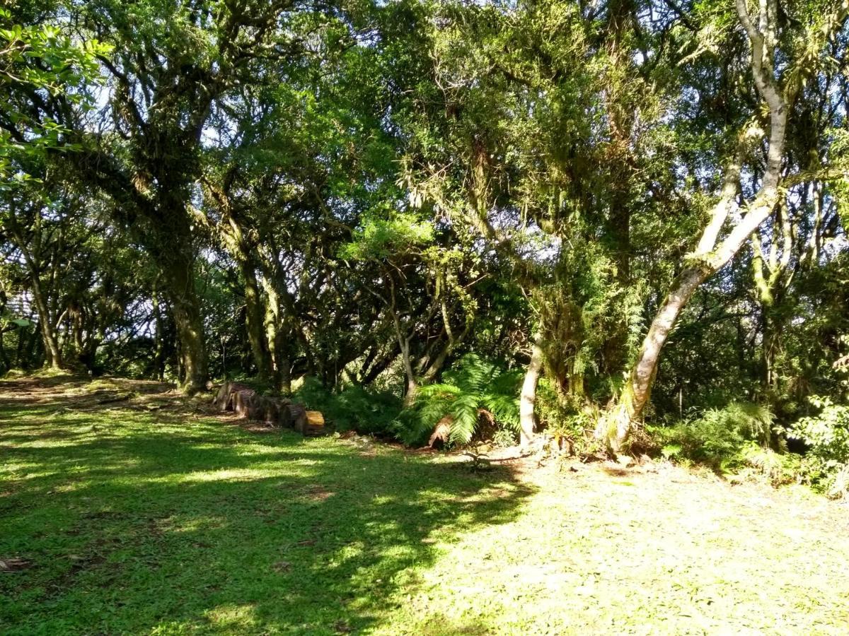 Recanto Da Mata Pousada São Francisco de Paula 外观 照片