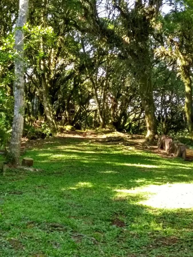 Recanto Da Mata Pousada São Francisco de Paula 外观 照片