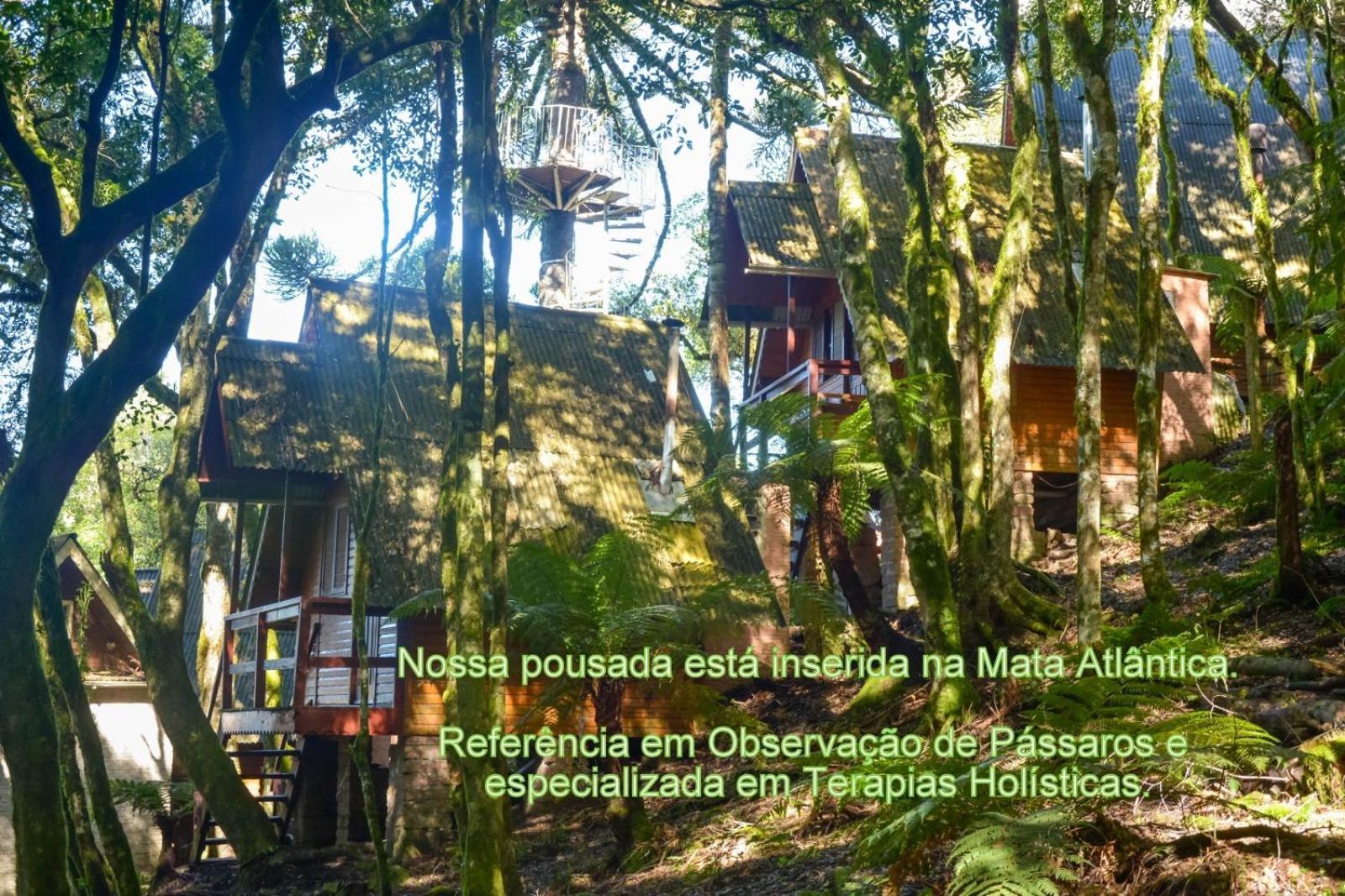 Recanto Da Mata Pousada São Francisco de Paula 外观 照片
